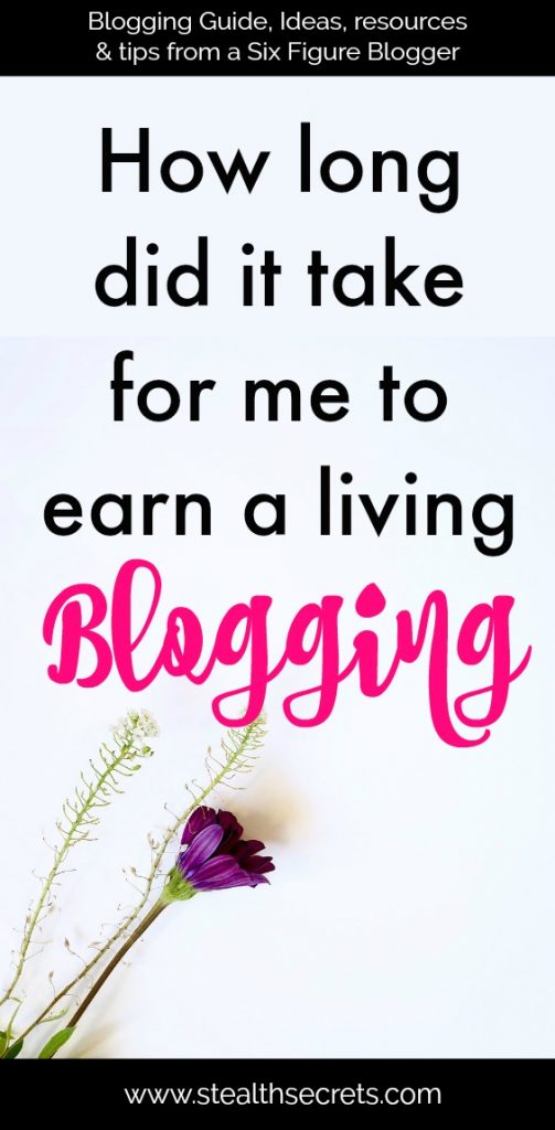 How Long Does It Take To Make Money Blogging Stealth 